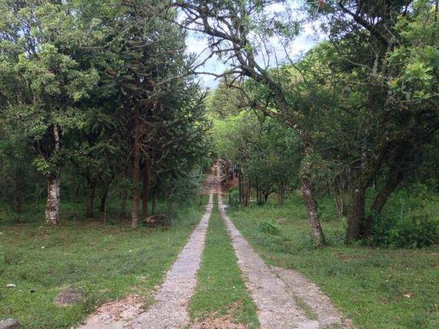 #05012 - Área para Venda em Curitiba - PR