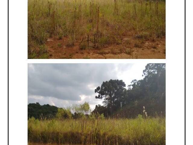 Área para Venda em Almirante Tamandaré - 5