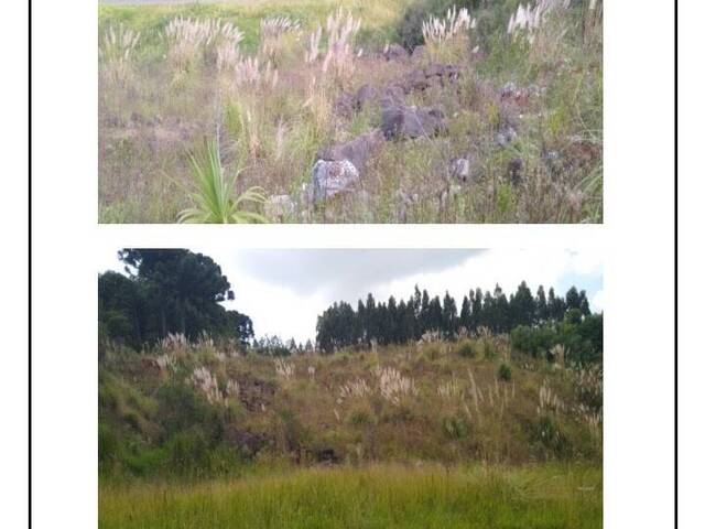 Área para Venda em Almirante Tamandaré - 4