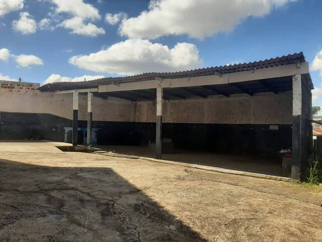 Ponto Comercial para Locação em Curitiba - 5