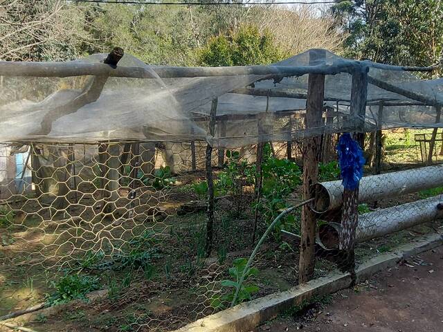 #561 - Chácara para Venda em Lapa - PR - 2