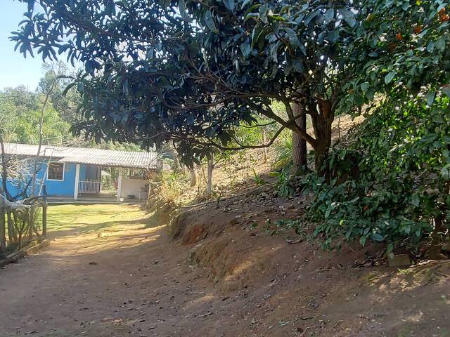 #561 - Chácara para Venda em Lapa - PR - 3