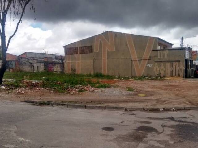 #286 - Terreno para Venda em Curitiba - PR - 3