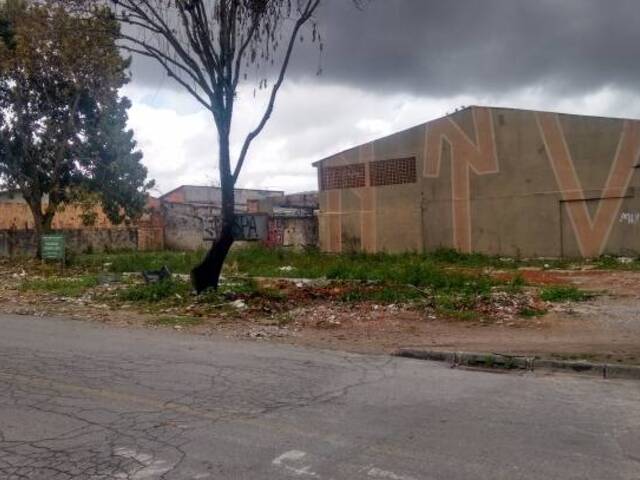 Terreno para Venda em Curitiba - 4