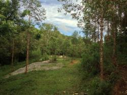 Venda em Santa Felicidade - Curitiba