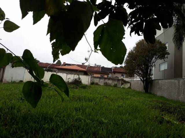 #405 - Terreno para Venda em Curitiba - PR - 1