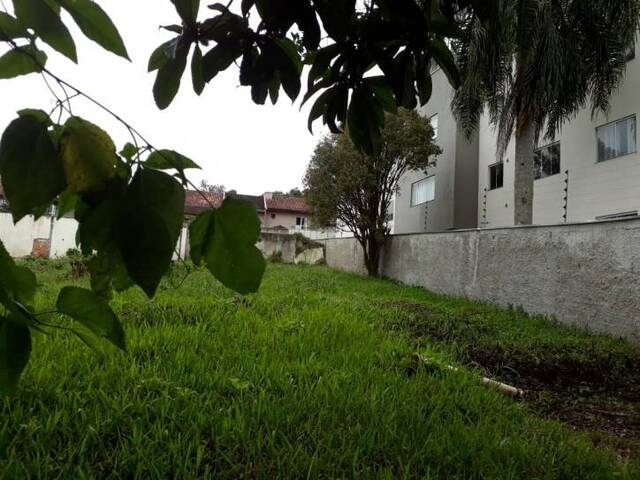 #405 - Terreno para Venda em Curitiba - PR - 3